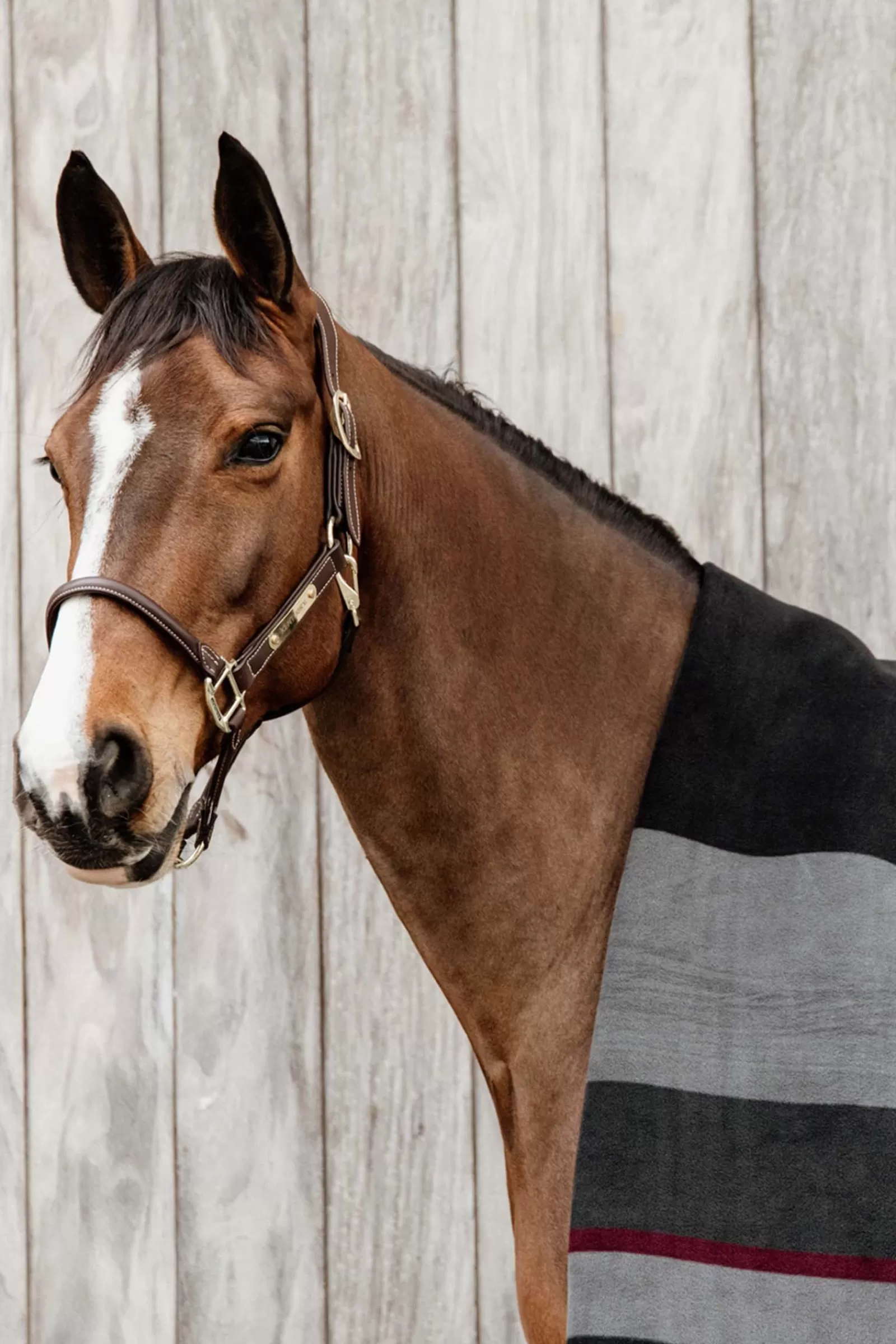 kentucky Horsewear Heavy Fleece Deken Square- Zweetdekens & Fleecedekens