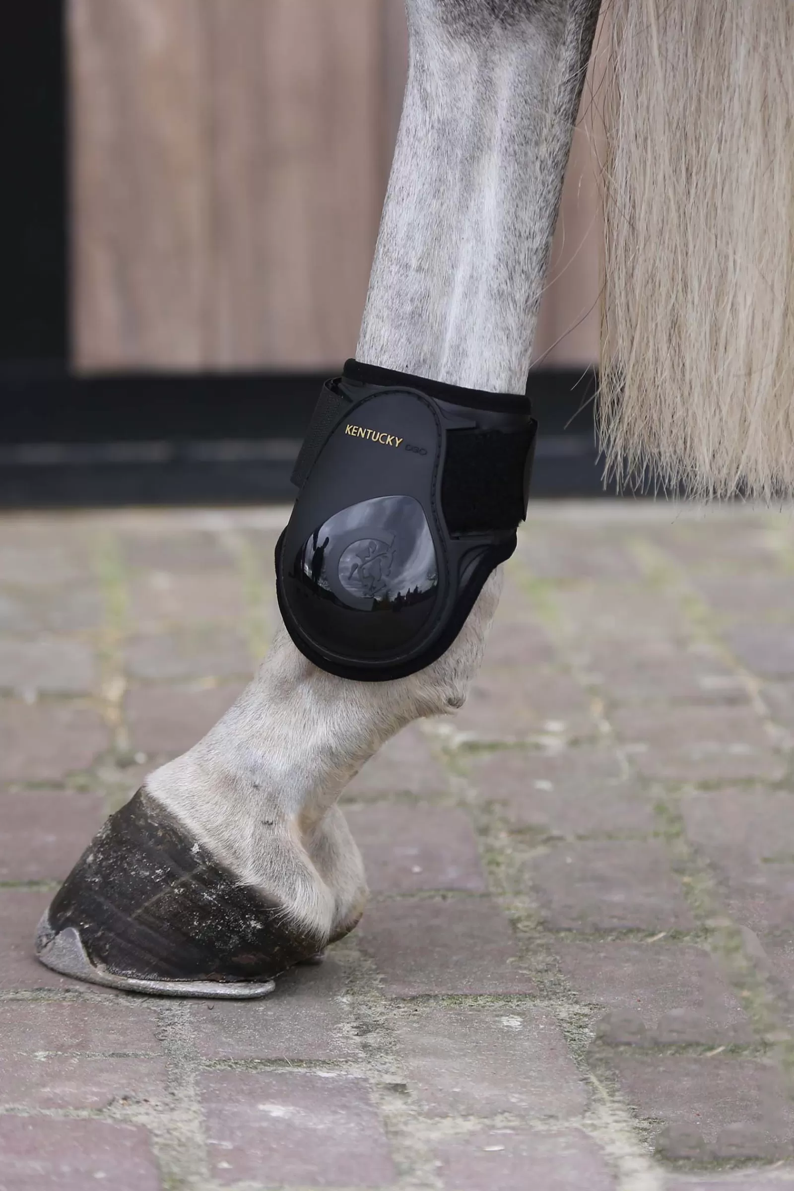 kentucky Horsewear Kogelbeschermer Jonge Paarden- Strijklappen & Kogelbeschermers