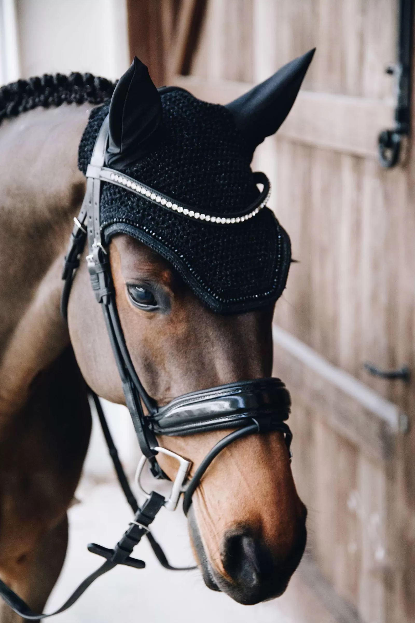 kentucky Horsewear Oornetje Wellington Glitter Soundless- Oornetjes