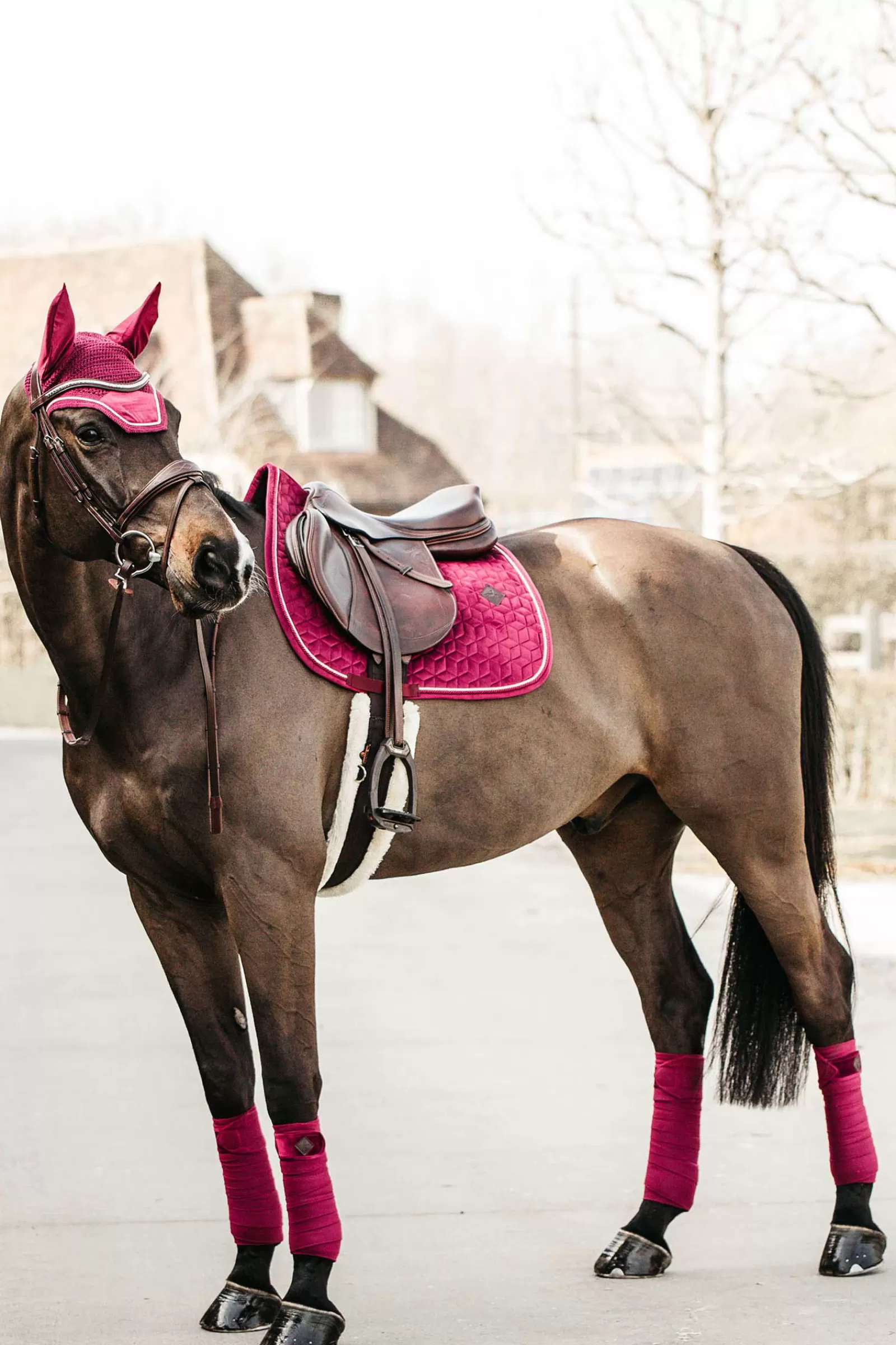 New kentucky Horsewear Saddle Pad Velvet Jumping Fuschia Rose