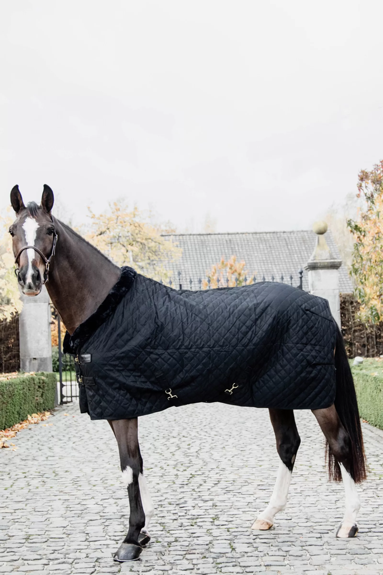 kentucky Horsewear Showdeken 160G- Staldekens & Onderdekens