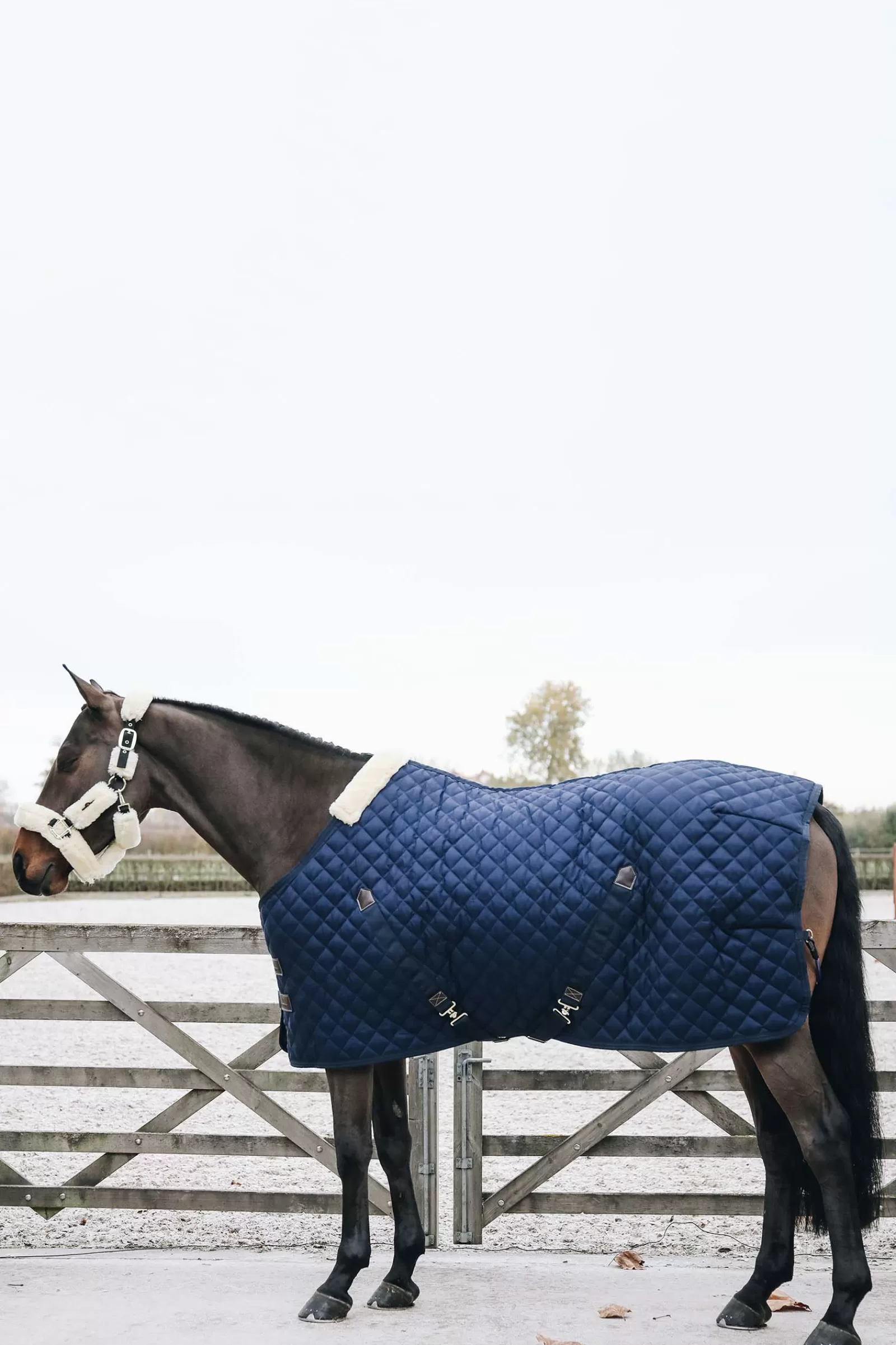 kentucky Horsewear Staldeken, 200G- Staldekens & Onderdekens