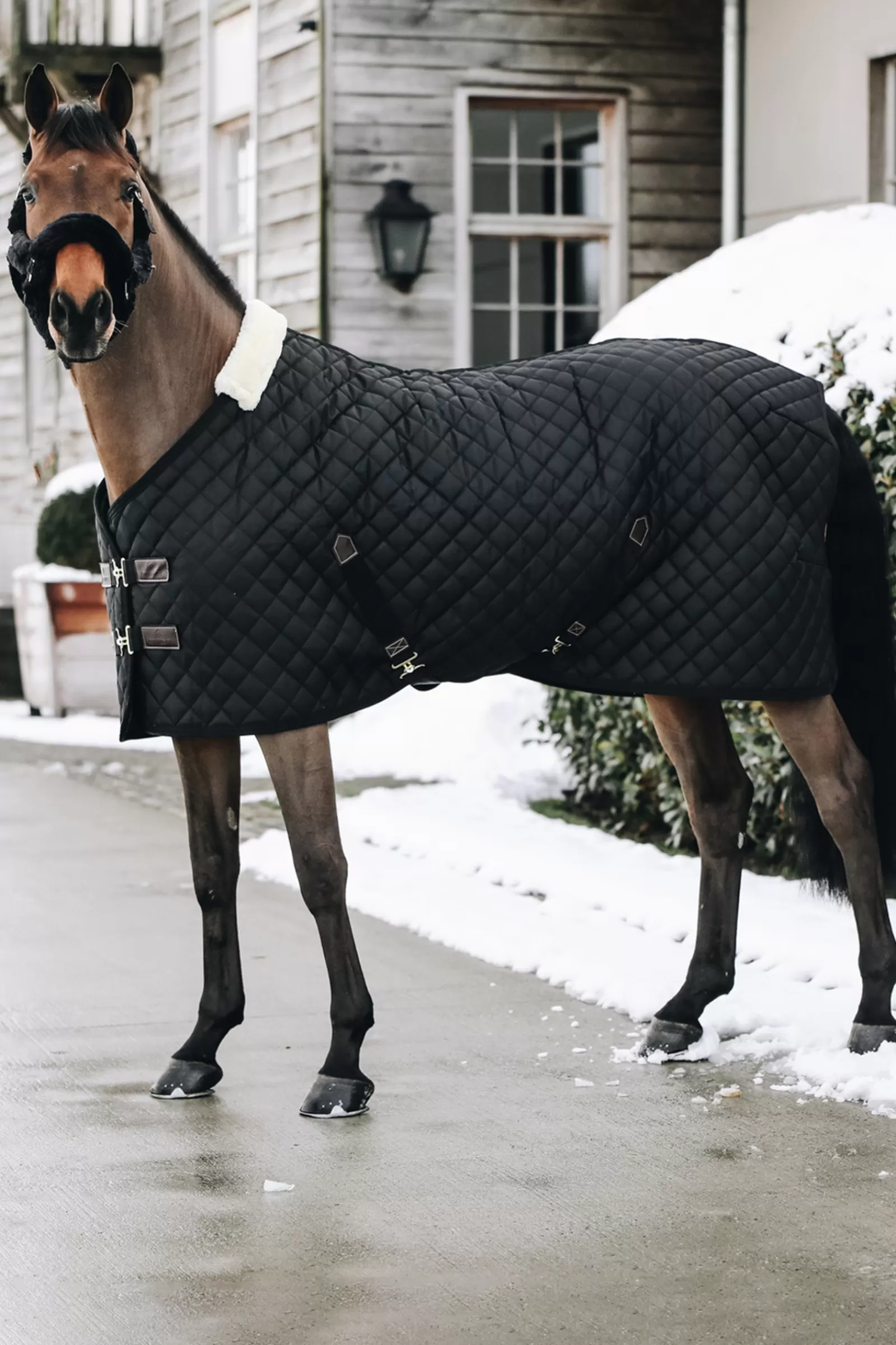 kentucky Horsewear Staldeken 400G- Staldekens & Onderdekens