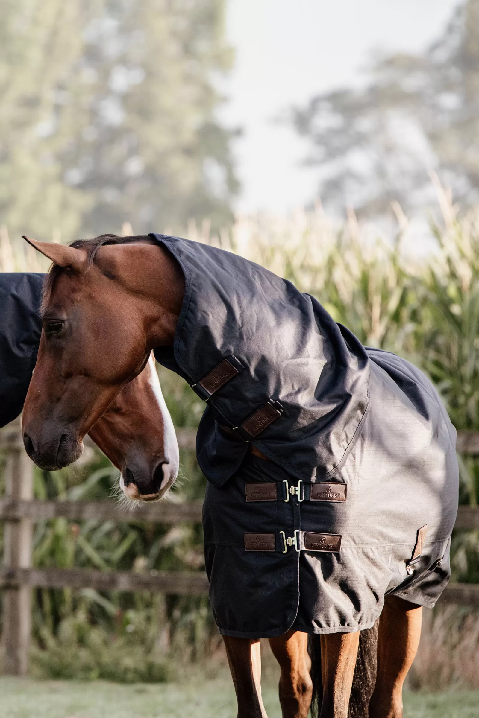 kentucky Horsewear Turnout Rug All Weather Waterproof Classic, 0G- Regendekens