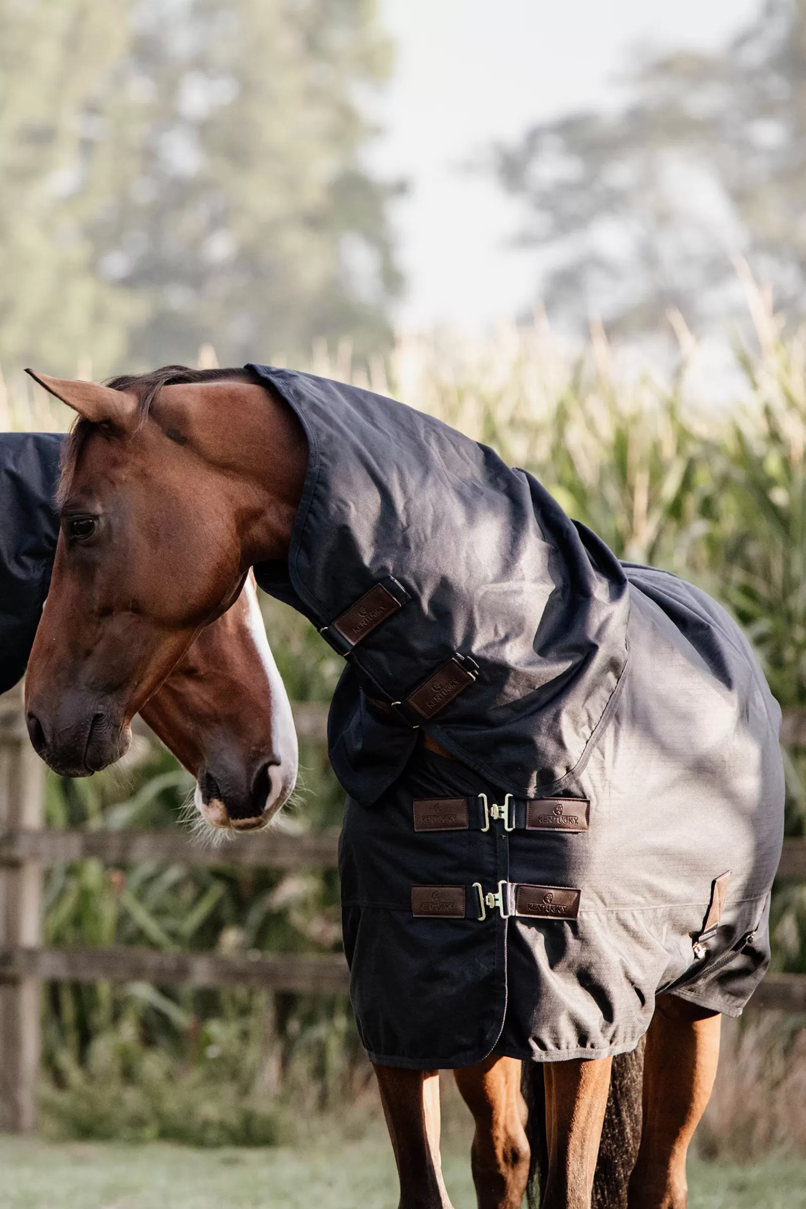 kentucky Horsewear Turnout Rug All Weather Waterproof Classic, 150G- Winterdekens