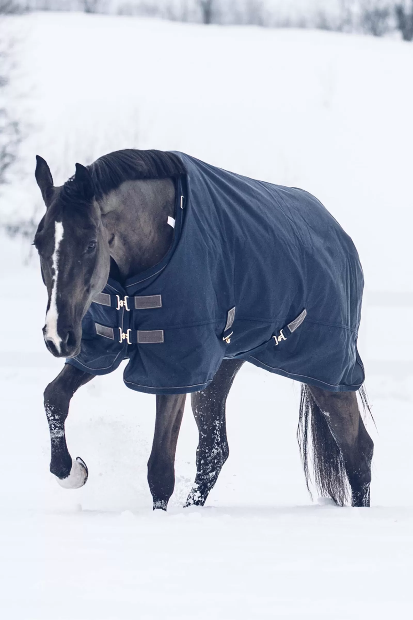 kentucky Horsewear Turnout Rug All Weather Waterproof Classic, 300G- Winterdekens