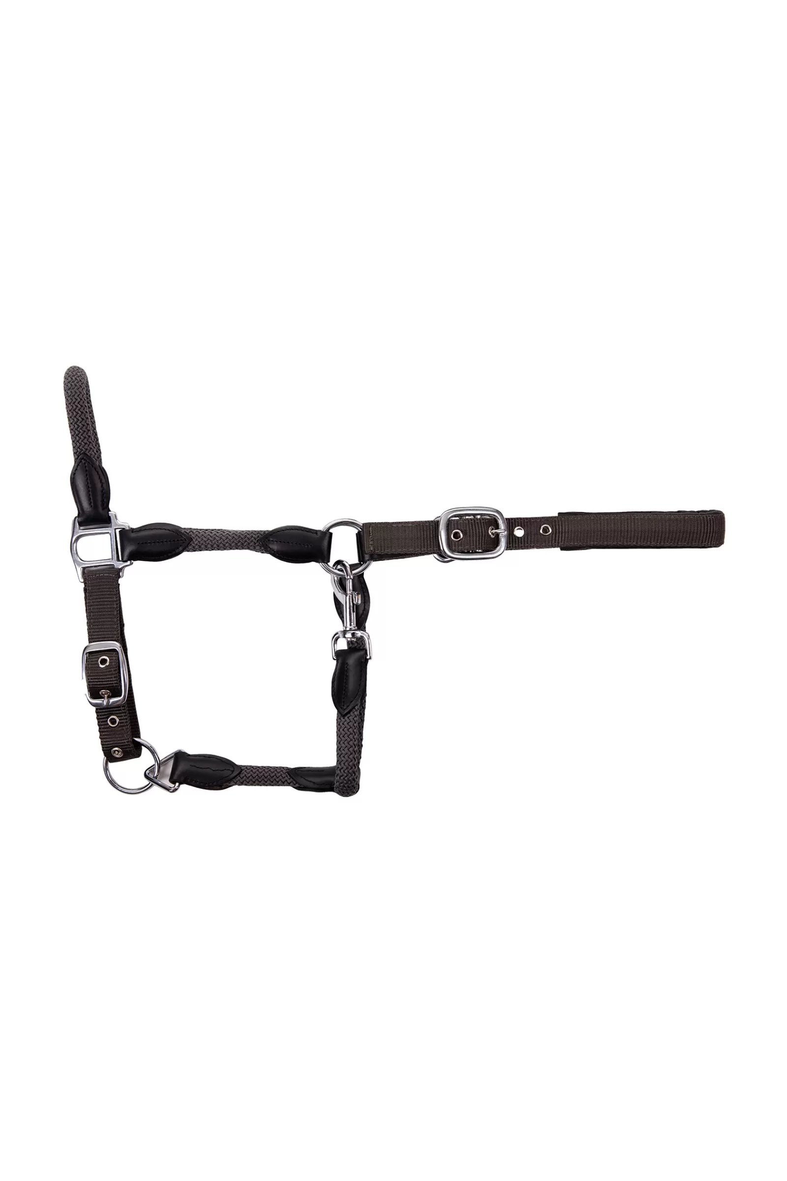 usg Dublin Halter- Halsters