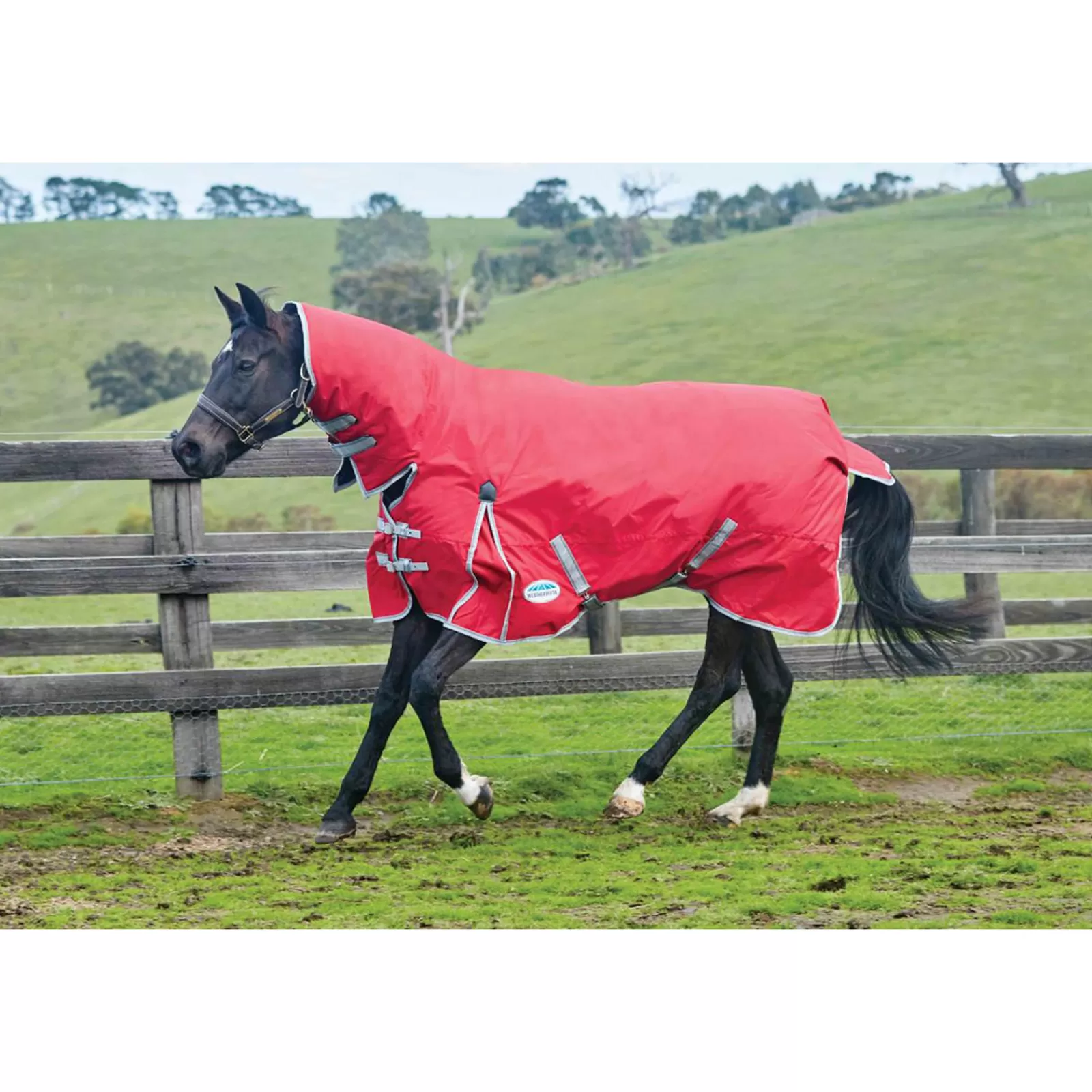 weatherbeeta Comfitec Classic Combo Deken Met Vaste Hals, Medium 220G- Winterdekens