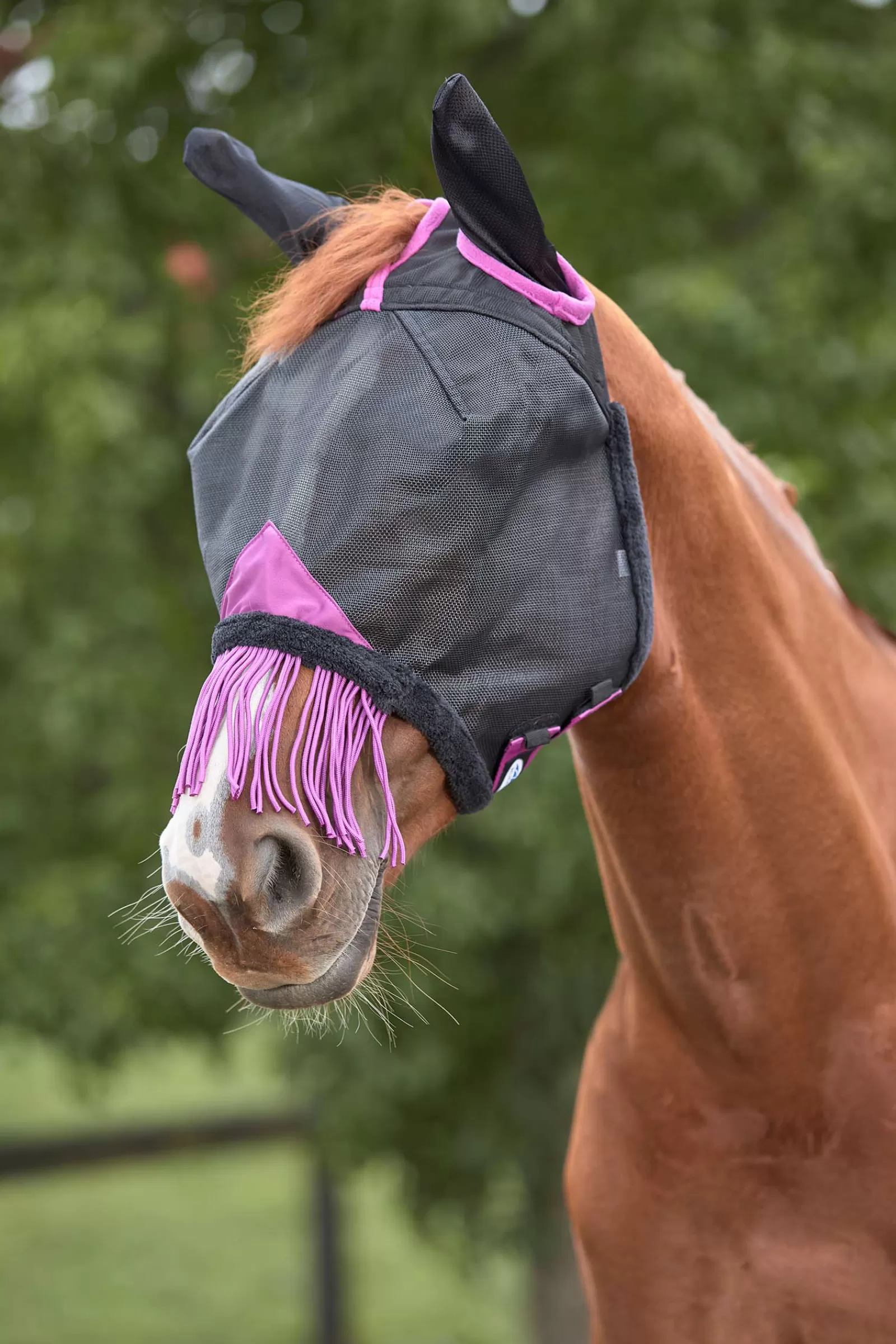 weatherbeeta Comfitec Deluxe Durable Mesh Mask With Ears And Tassels- Vliegenmaskers & Vliegenfrontriemen