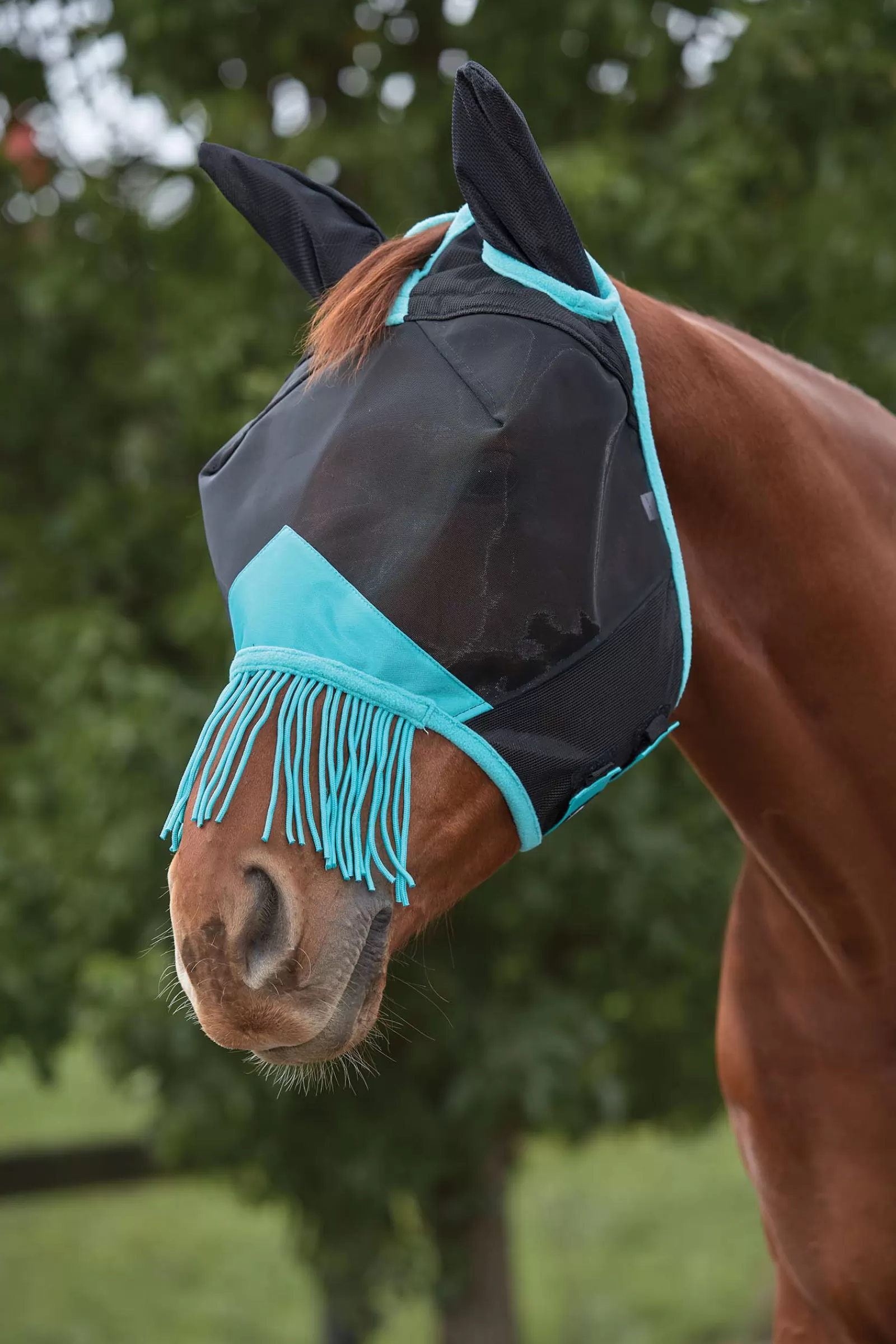 weatherbeeta Comfitec Deluxe Fine Mesh Mask With Ears & Tassels- Vliegenmaskers & Vliegenfrontriemen