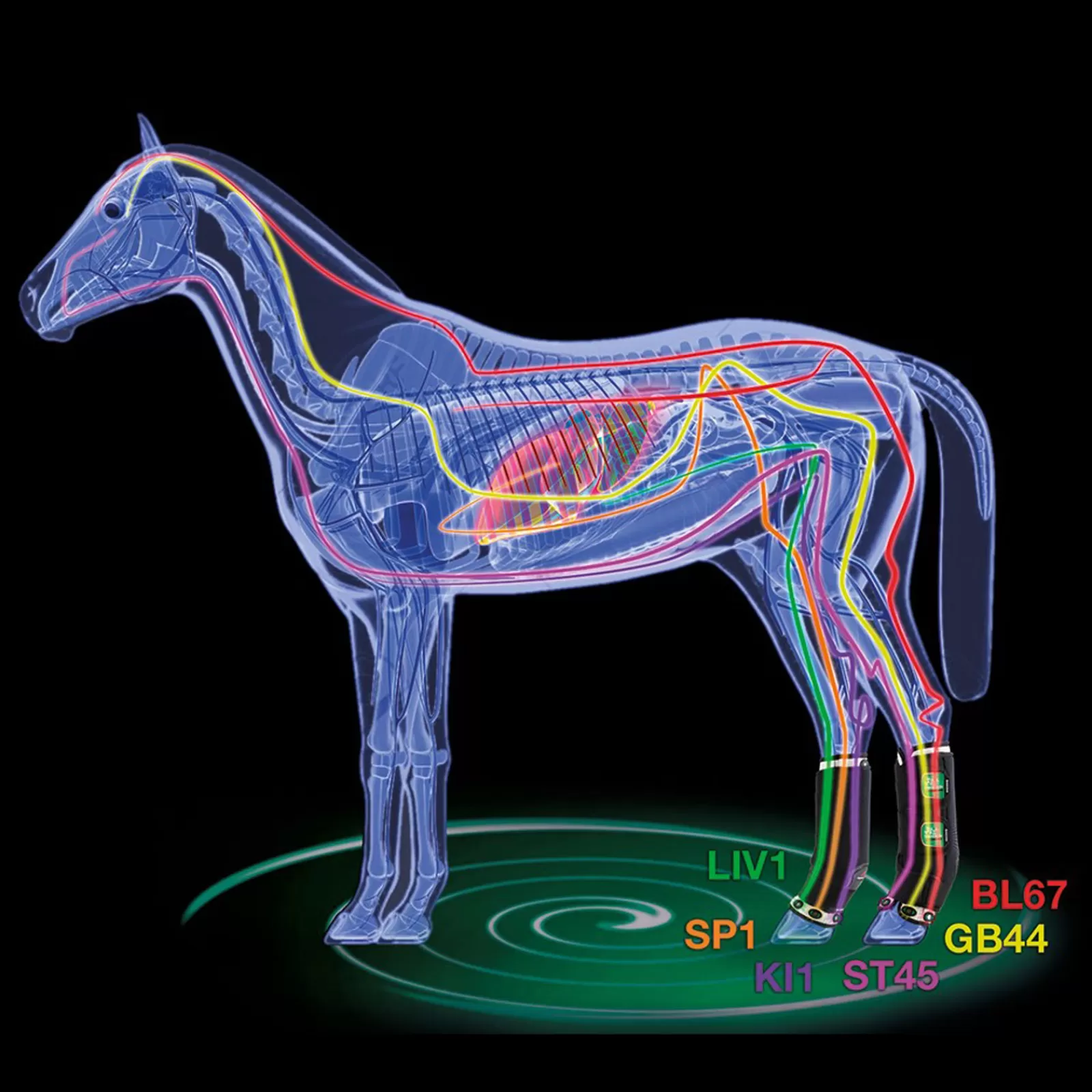 zandona Air Therapeutische Support Beschermers, Achter- Beenbescherming